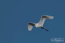 02-20-2018_0100-Edit-Edit.jpg