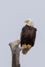 DSC_1139.jpg