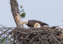DSC_1150.jpg