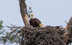 DSC_1156.jpg