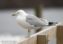 DSC_5646 low res.jpg