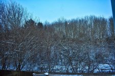 DSC_0534r.jpg