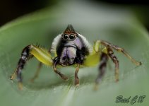 DSC_5391.jpg