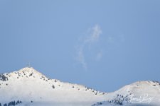 W_DSC_5104.jpg
