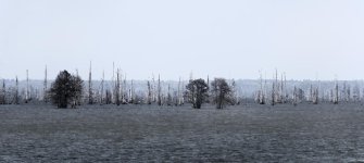 _DSF6384.jpg