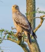 DSC_4858.jpg
