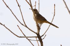 03-06-18-cr__D7K8679.jpg