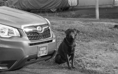 HP5+ test045.jpg
