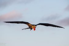 _DSC3161-Edit.jpg