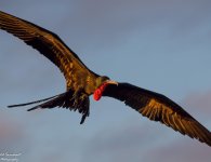 _DSC3169-Edit.jpg