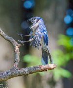 DSC_5161.jpg