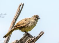 DSC_5166.jpg