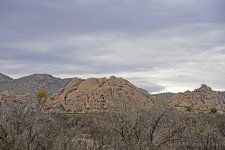 03-08-18-cr__7505041.jpg