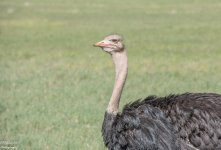 DSC_2841.jpg