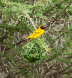 DSC_3722.jpg