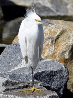 _ROY0264.JPG