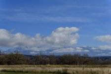 _ROY0650_01.JPG