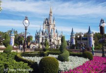 Cinderellas Castle.jpg