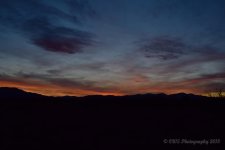 03-20-18-cr_DSC_5795.jpg
