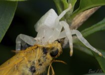 DSC_5535.jpg