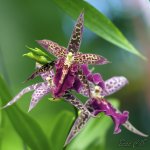 DSC_5575.jpg