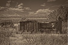 03-21-18_D7K8723-cr-copyBW-ON1.jpg