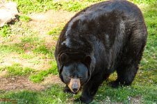 Selato Game Farm-0897.jpg