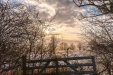 cold morning-1434.jpg