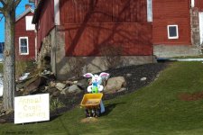 DSCN3126.jpg