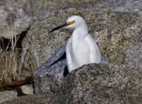 _ROY1276_01.JPG