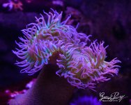 W_DSC_5971.jpg