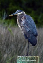 DSC_1837.jpg