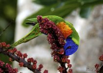 DSC_5760.jpg