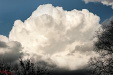 Clouds-1613.jpg
