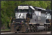_71D4245.jpg