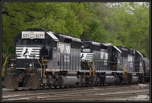 _71D4246.jpg