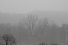 DSCN3167.jpg
