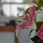 D72_1490.jpg