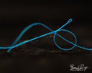 W_DSC_6540.jpg