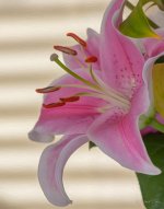 D72_1506-Modifier.jpg