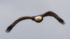 RLW_6180.jpg