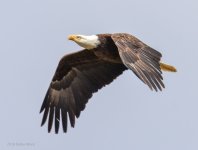 RLW_6184.jpg
