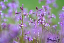 W_DSC_6639.jpg