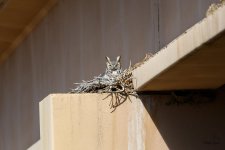 VistaOwl-300.jpg