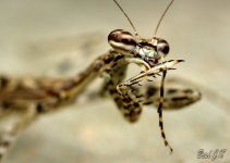 DSC_5876.jpg
