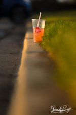 W_DSC_6724.jpg