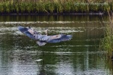DSC_3017.jpg