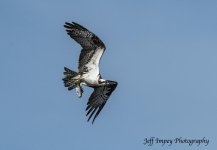DSC_3477.jpg