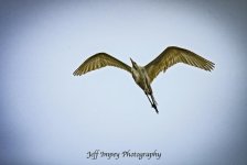 DSC_3528.jpg