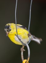 AHW_2458.jpg